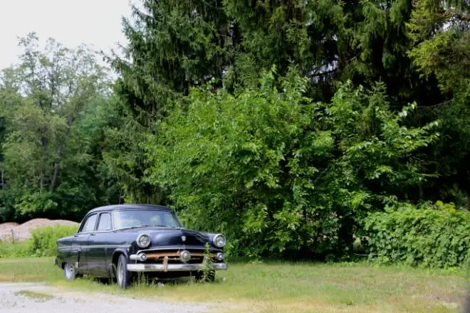Old car next to a large bush located in Swanton, Ohio